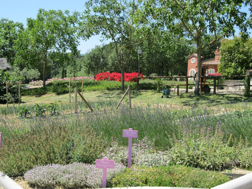 Podere Sant'Angelo Villa Bibbiena Buitenkant foto